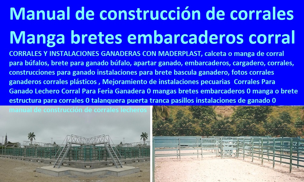 Corrales Para Ganado Lechero Corral Para Feria Ganadera 0 mangas bretes embarcaderos 0 Mangas De Coleo, Corral Caballerizas, Pesebreras De Caballos, Plaza Toros, Brete Ganadero, Apretaderos Embarcaderos, Postes Tablas, Polines Varetas, Mangas De Coleo, Horcones Madera Plástica, Corrales, Establos De Ganado, manga o brete estructura para corrales 0 talanquera puerta tranca pasillos instalaciones de ganado 0 manual de construcción de corrales lecheros Corrales Para Ganado Lechero Corral Para Feria Ganadera 0 mangas bretes embarcaderos 0 manga o brete estructura para corrales 0 talanquera puerta tranca pasillos instalaciones de ganado 0 manual de construcción de corrales lecheros